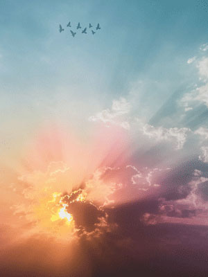 Cloudy sun rays with a flock of birds