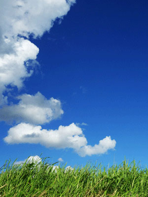 Blue Skies with a grassy foreground